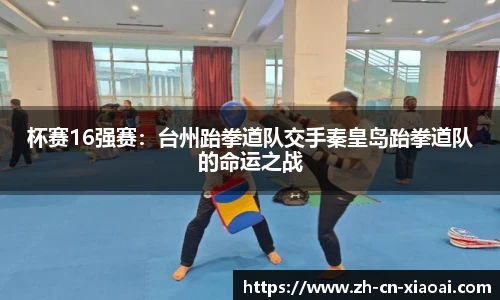 杯赛16强赛：台州跆拳道队交手秦皇岛跆拳道队的命运之战